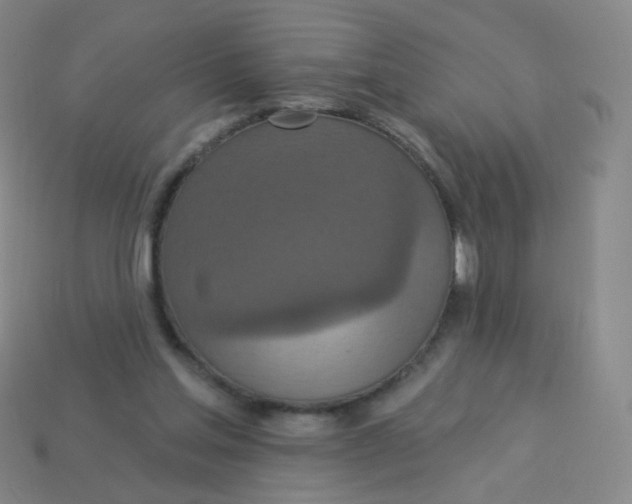 X0000113550205200910161441