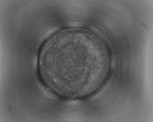 X0000113550206200910161441