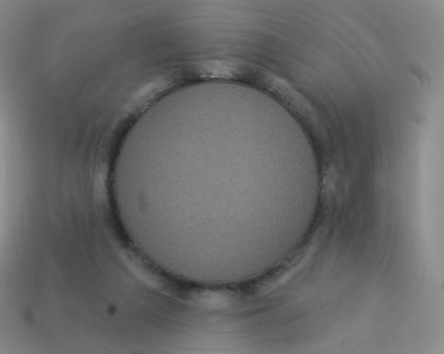 X0000113550209200910161441
