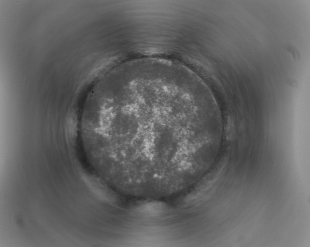 X0000113550210200910161441