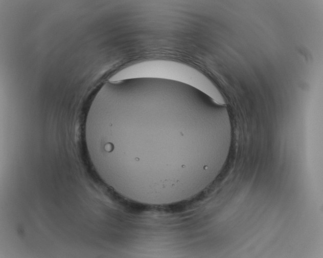 X0000113550211200910161441