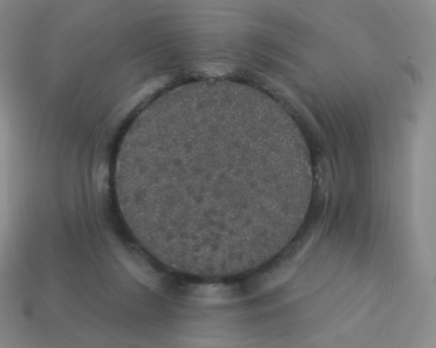X0000113550212200910161441
