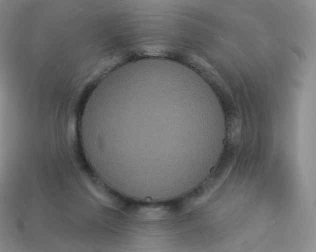 X0000113550213200910161441