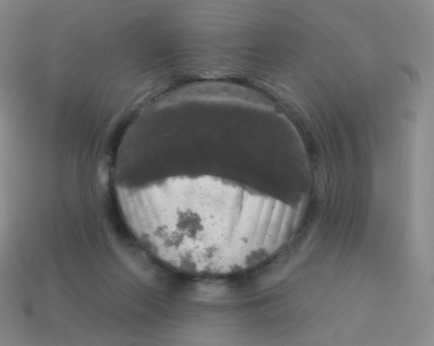 X0000113550214200910161441