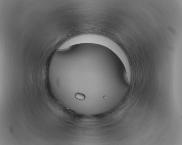 X0000113550215200910161441