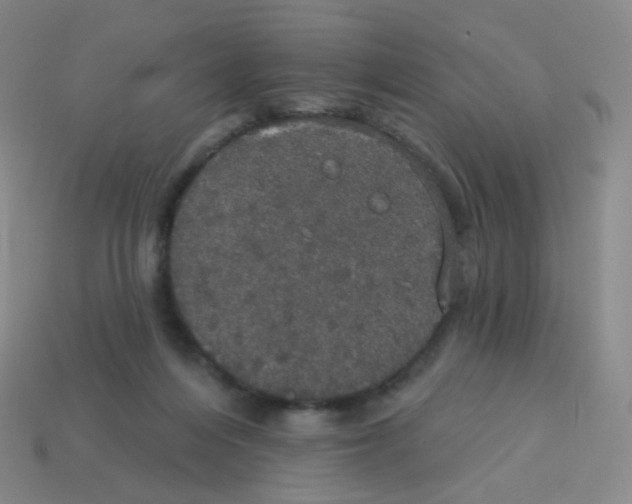 X0000113550216200910161441