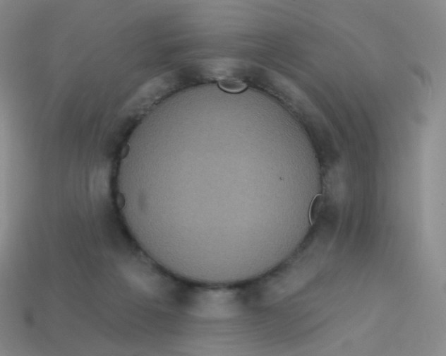 X0000113550217200910161441