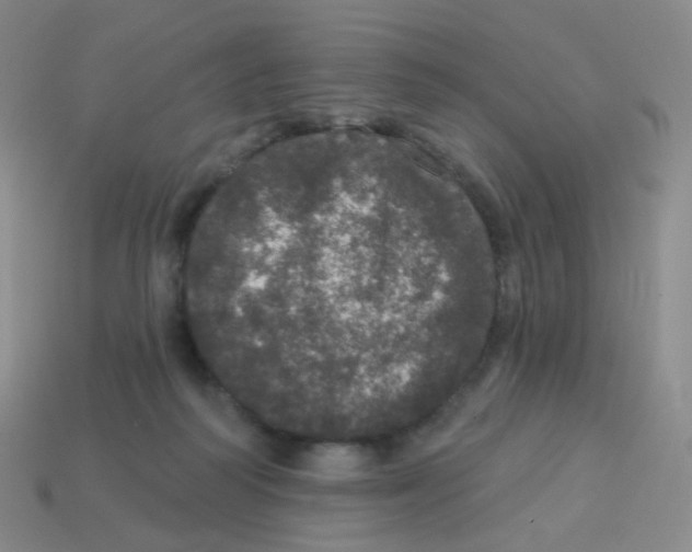 X0000113550218200910161441