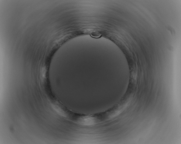 X0000113550219200910161441