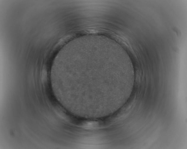X0000113550220200910161441