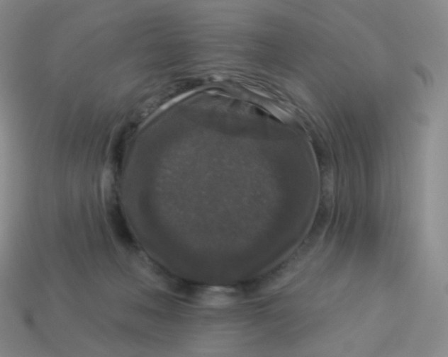 X0000113550222200910161441