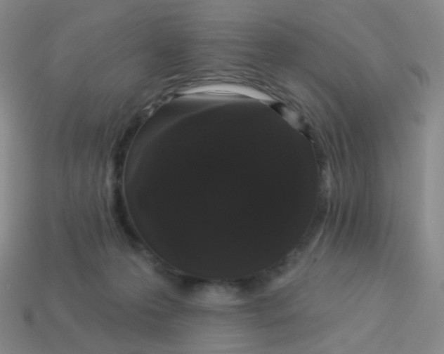 X0000113550223200910161441