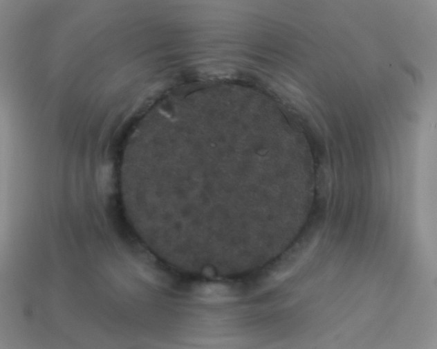 X0000113550224200910161441