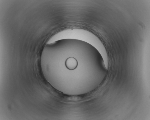X0000113550225200910161441