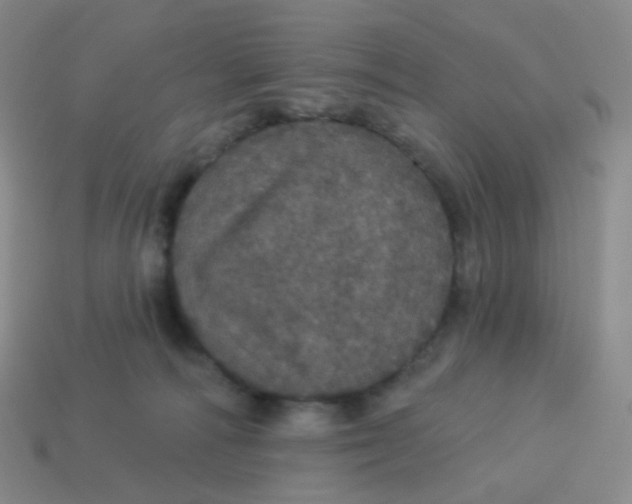 X0000113550226200910161441
