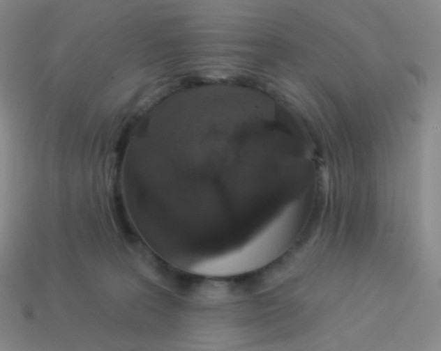 X0000113550227200910161441