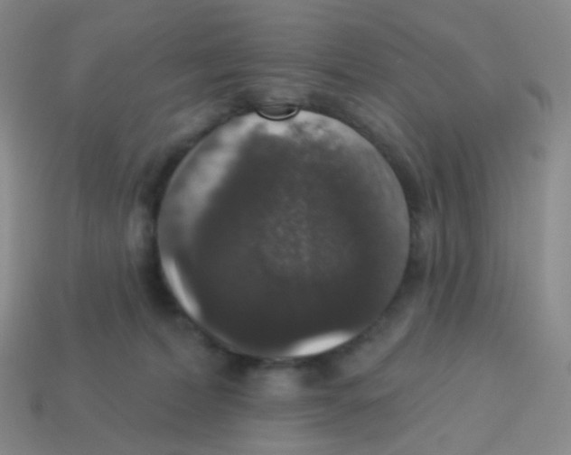 X0000113550228200910161441
