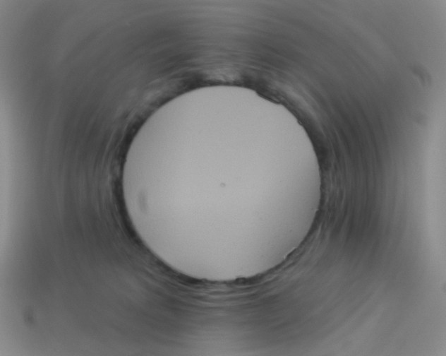 X0000113550229200910161441