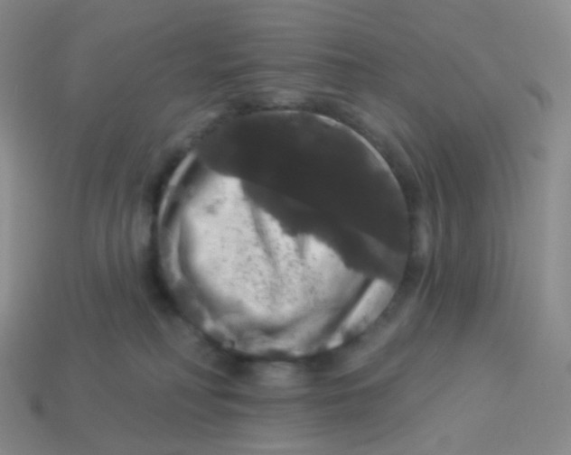 X0000113550230200910161441