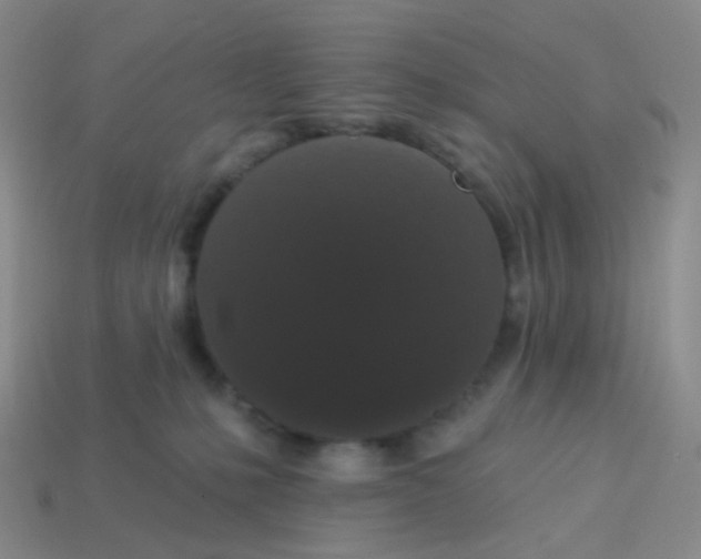 X0000113550231200910161441