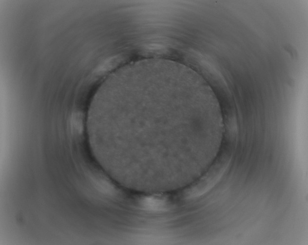 X0000113550232200910161441