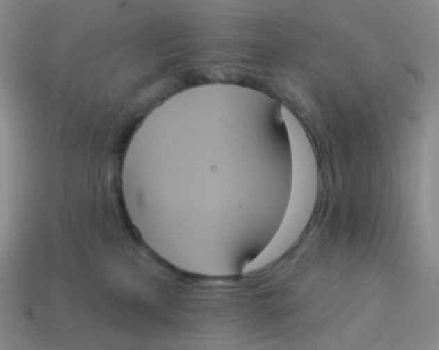 X0000113550233200910161441
