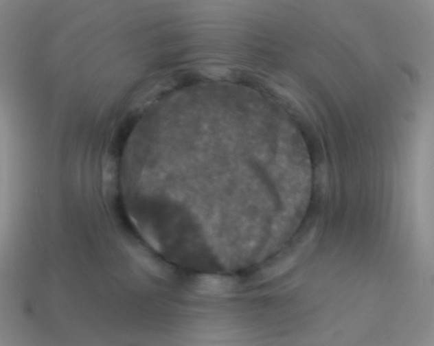 X0000113550234200910161441