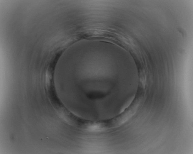 X0000113550235200910161441