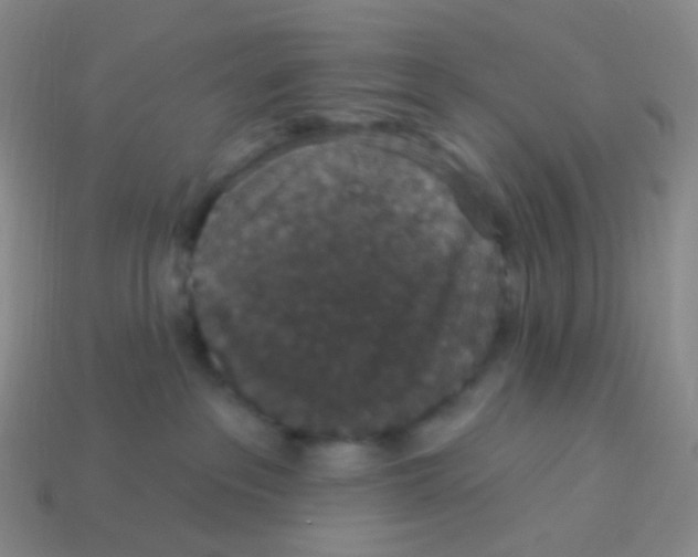 X0000113550237200910161441