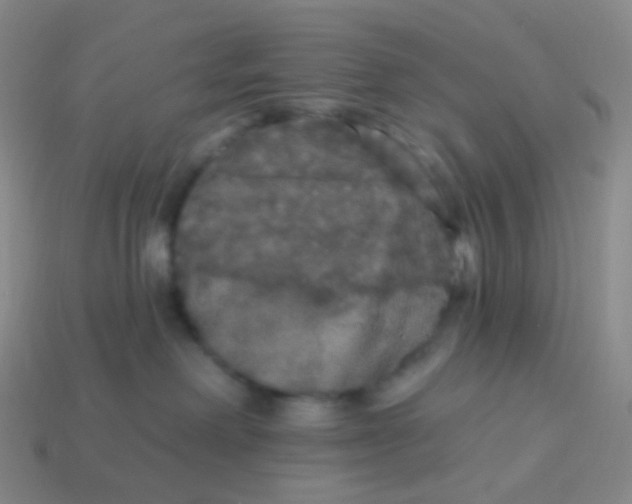 X0000113550238200910161441