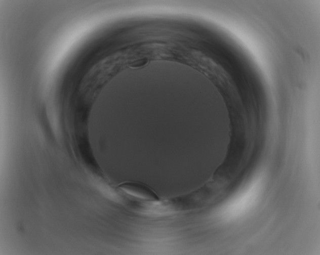 X0000113550239200910161441