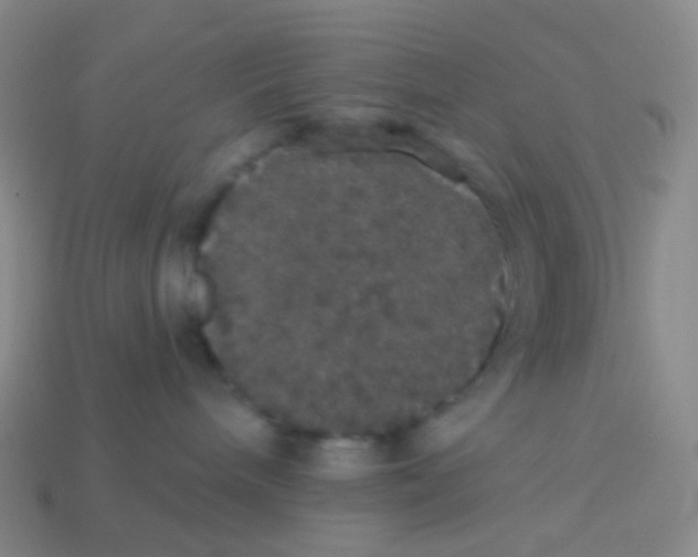 X0000113550240200910161441
