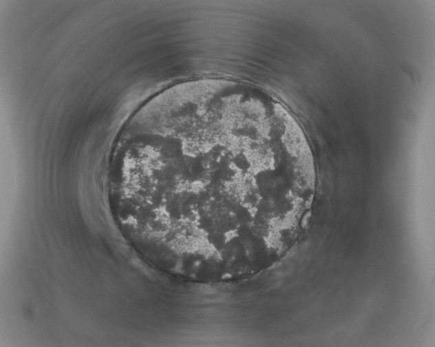 X0000113550241200910161440