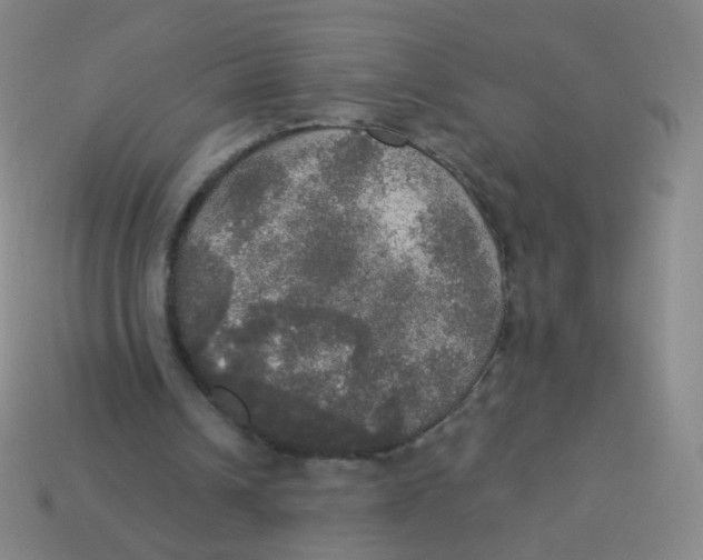 X0000113550242200910161440