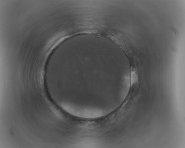 X0000113550243200910161440