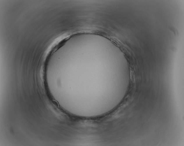 X0000113550244200910161440