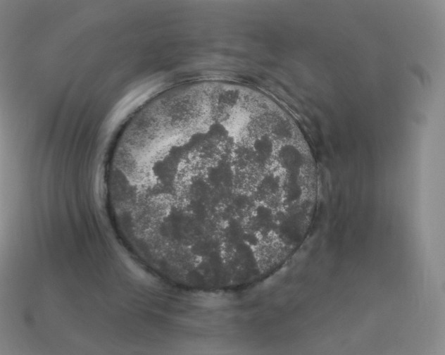 X0000113550245200910161440