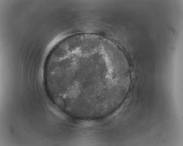 X0000113550246200910161440
