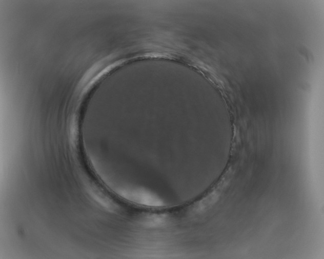 X0000113550247200910161440