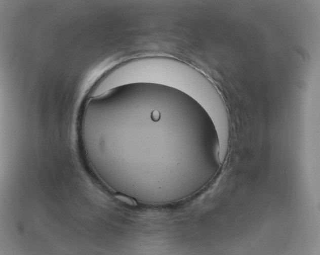X0000113550248200910161440