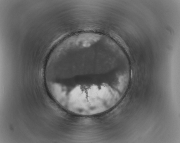 X0000113550249200910161440