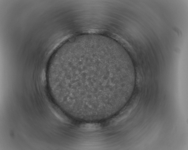 X0000113550251200910161440