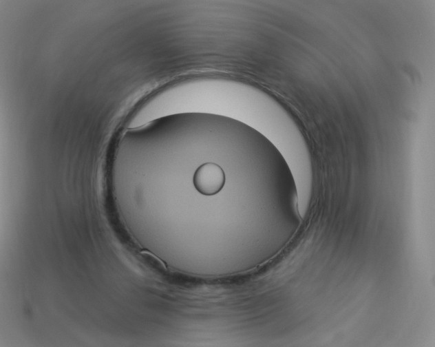 X0000113550252200910161440