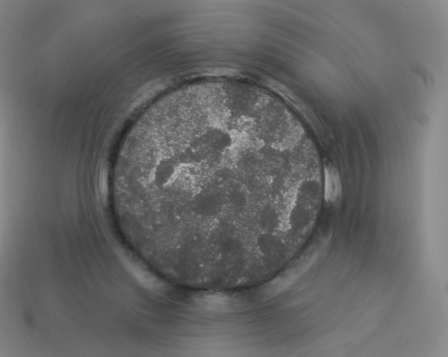 X0000113550253200910161440