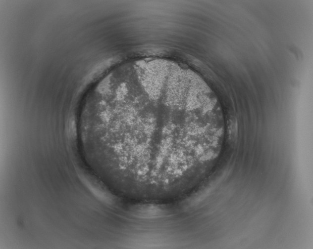 X0000113550254200910161440