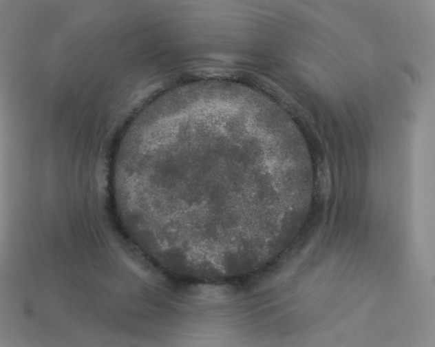X0000113550255200910161440