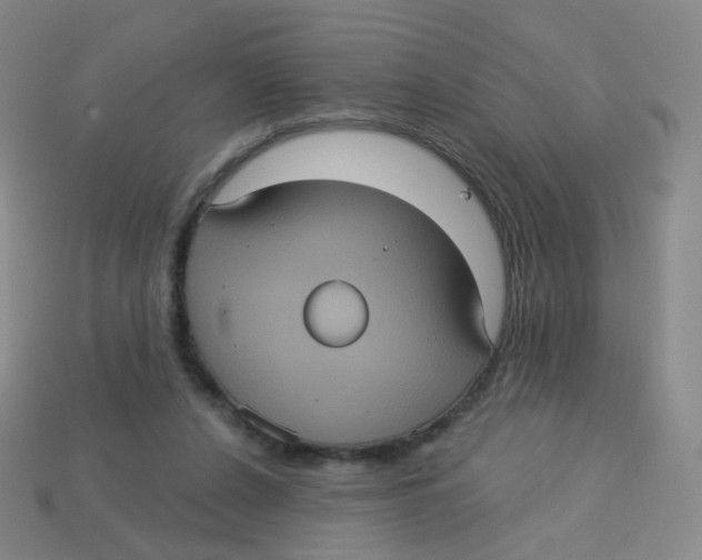 X0000113550256200910161440