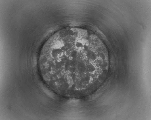 X0000113550257200910161441