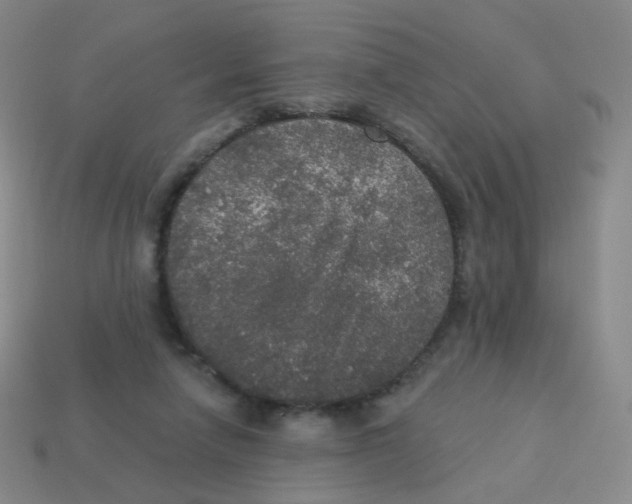 X0000113550258200910161441