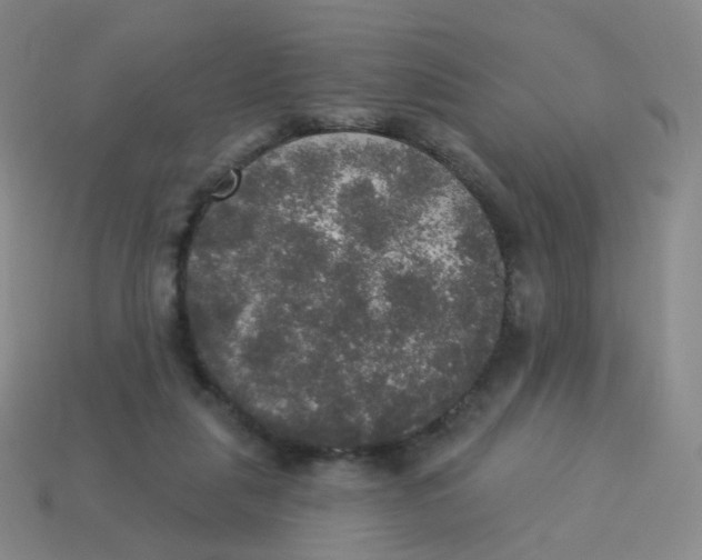 X0000113550259200910161441